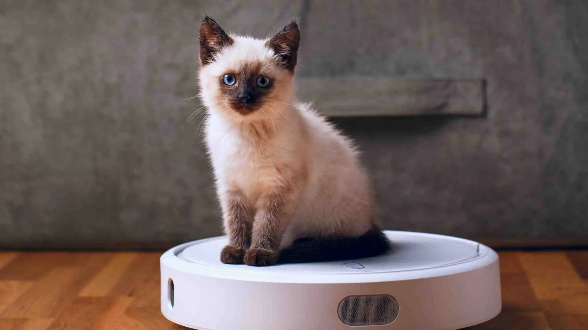 Beste robotstofzuigers vergelijken en kiezen - besterobotstofzuiger.nl